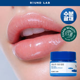 Round Lab - Birch Juice Moisturizing Lip Balm 20g